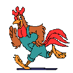 rooster-02-june1